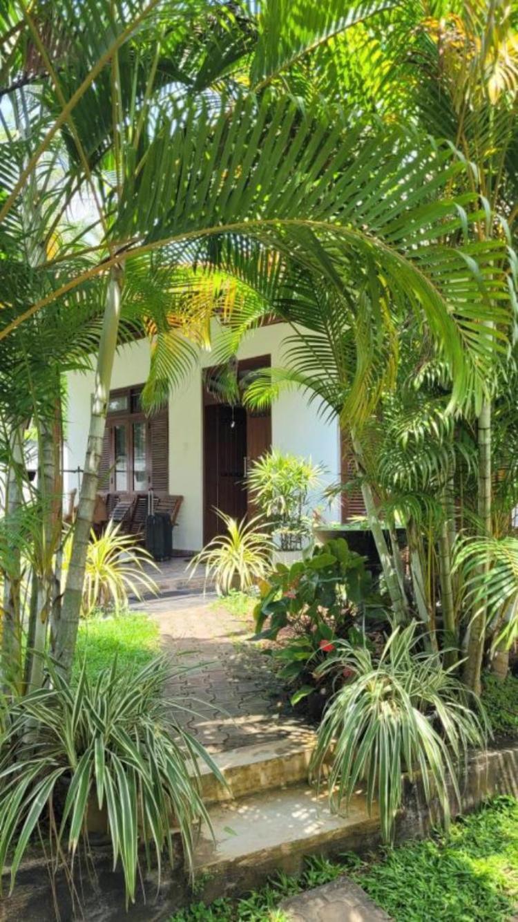 Hotel Mirewon Guest à Weligama Extérieur photo